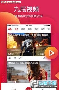 五xsq在线视频,揭秘神秘世界，探索未知领域