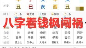 学习八字视频,跟随视频学习八字知识概览