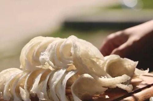 燕窝的食用方法视频,轻松掌握滋补养生之道