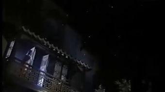 鲁哥视频在线,揭秘生活智慧，畅享趣味时光