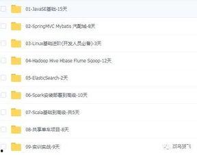 牛献礼教学视频