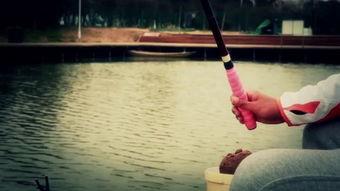 钩鱼教学视频,跟随教学视频轻松掌握钓鱼技巧